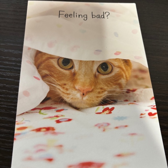 Cat Get Well Card - Picture 1 of 2